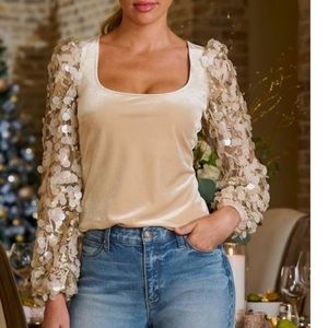 Boston Proper Embroidered Paillette Sequin Sleeve Velvet Knit Top sizes XS